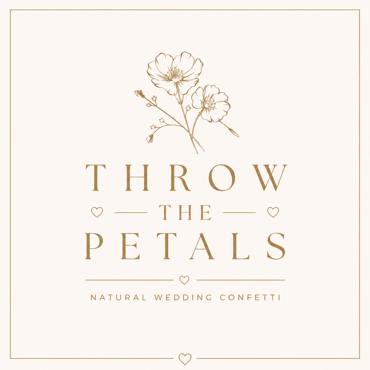 Confetti Sachets