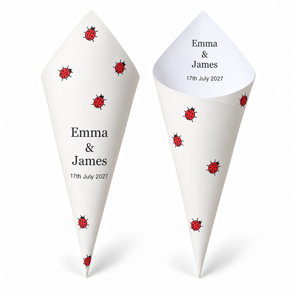 20 - Ladybird Personalised Confetti Cones With Holder + 2L of Petals