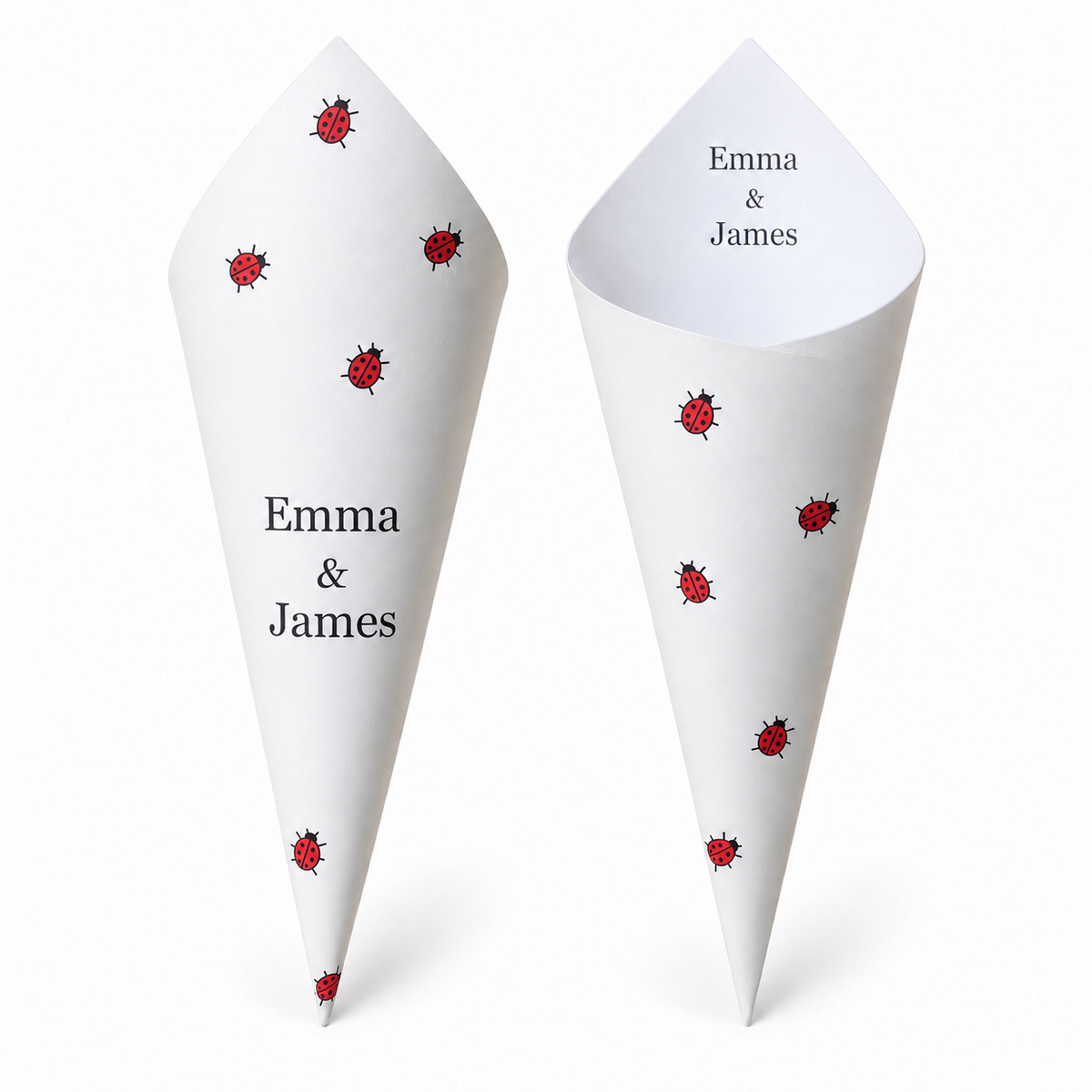 20 - Ladybird Personalised Confetti Cones With Holder + 2L of Petals