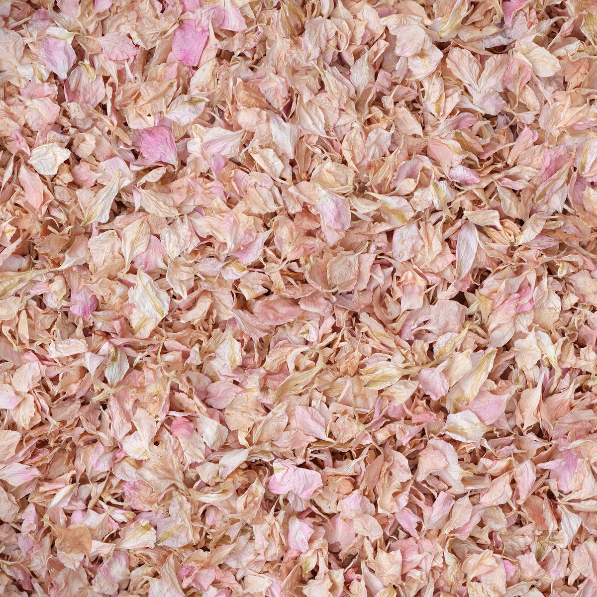 20 Confetti Pops - Blush Romance