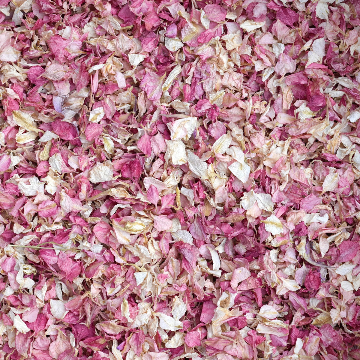 20 Confetti Pops - English Garden