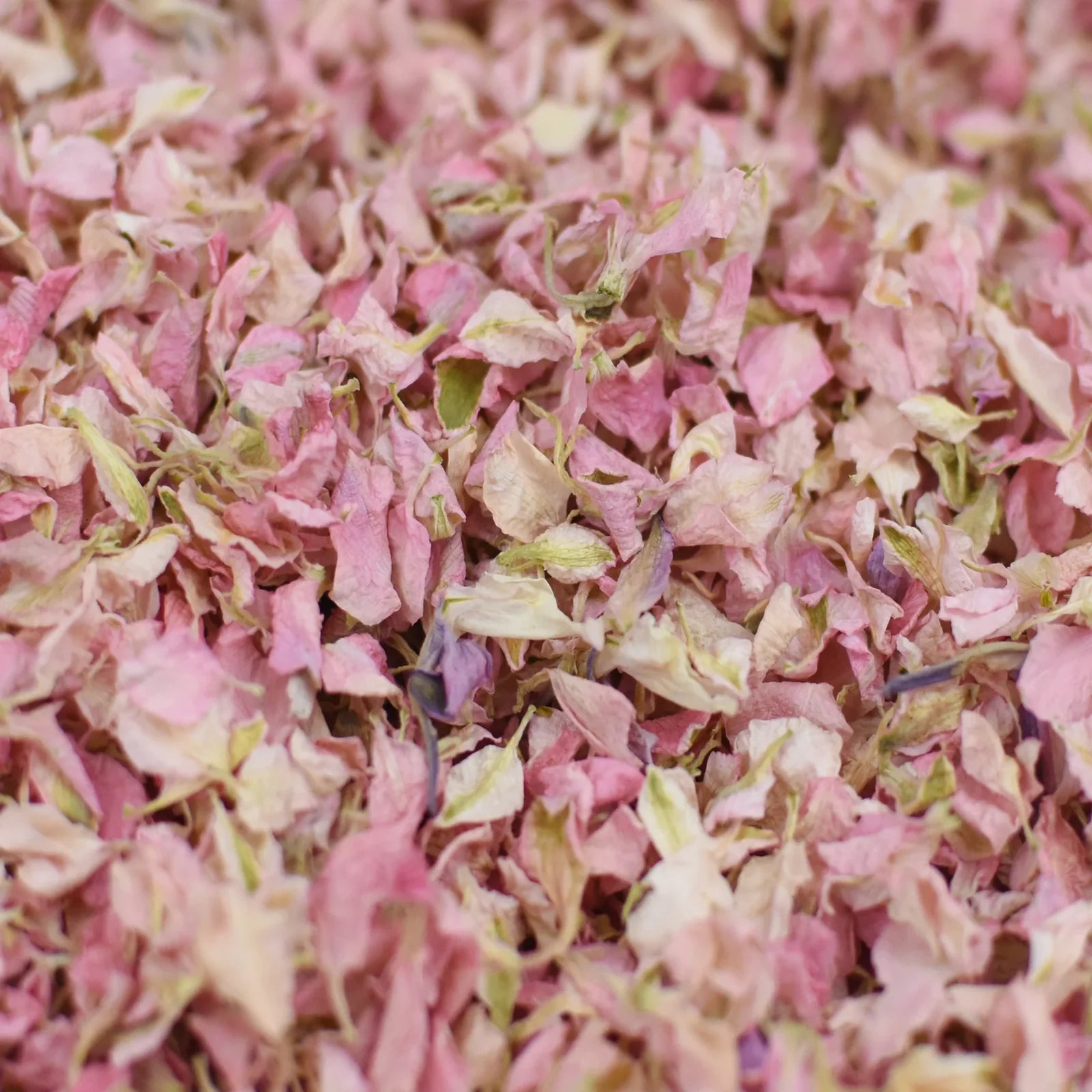 Blush Romance Cones