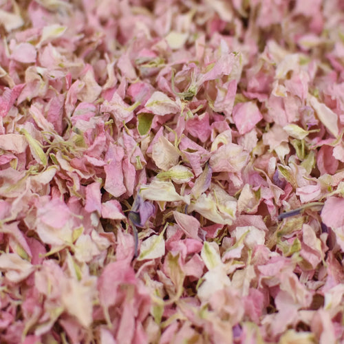 Blush Romance Cones