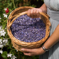 Amethyst Bloom Confetti Basket (50-60 handfuls)