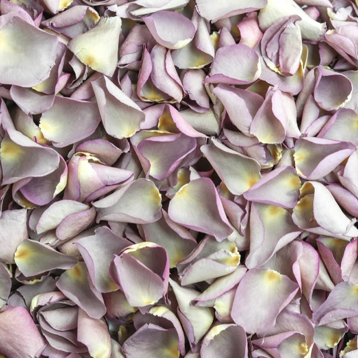 Lavender Rose Petals