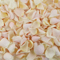 Cream Rose Petals