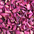 Hot Pink Rose Petals