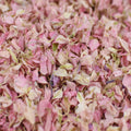 Blush Romance
