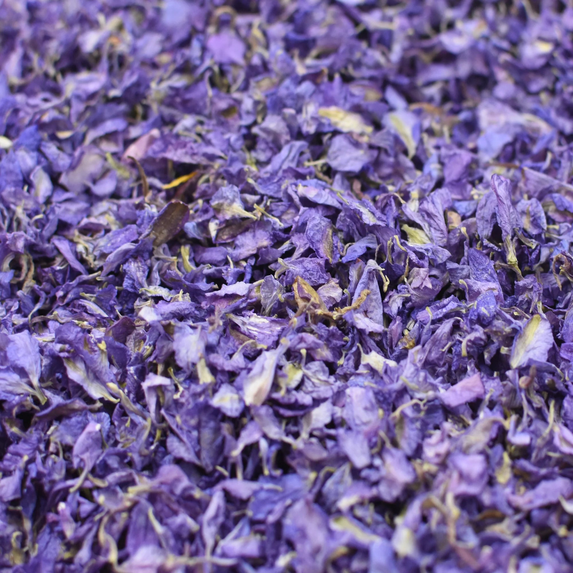 Amethyst Bloom