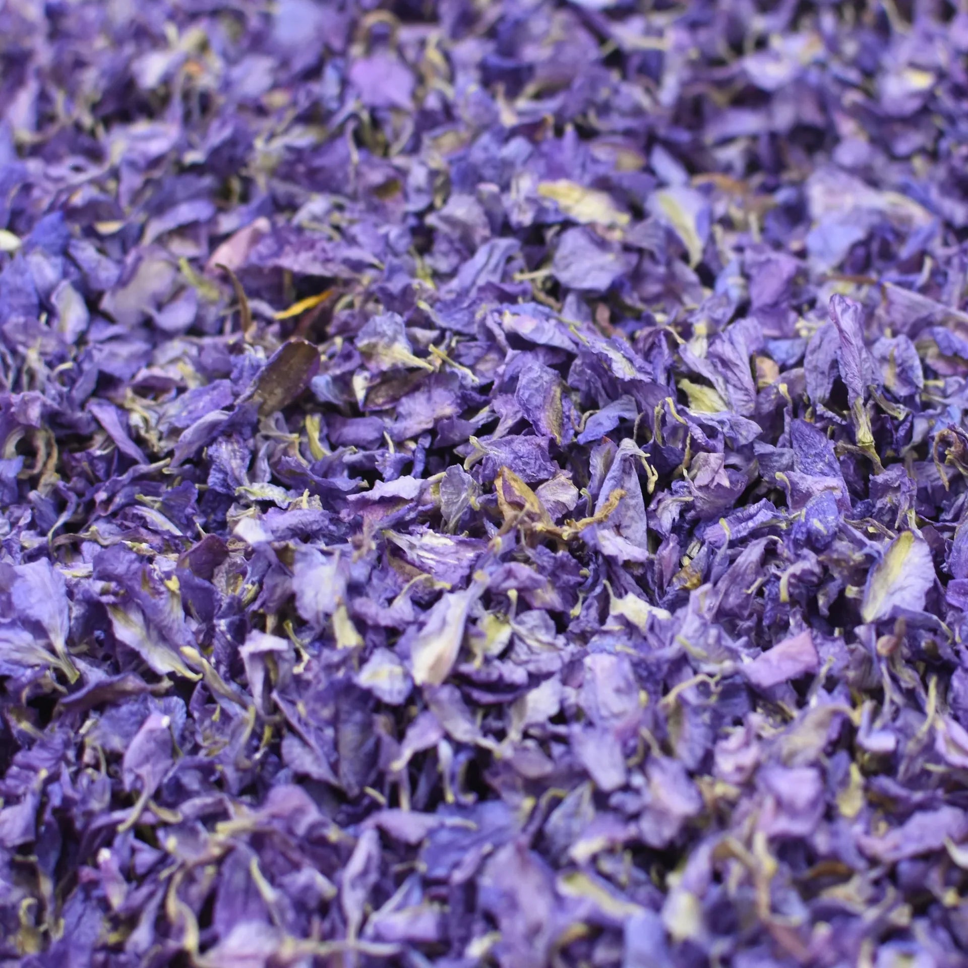 Amethyst Bloom Cones