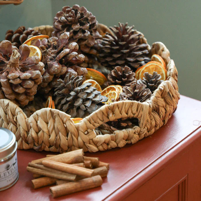Dried Orange Slices