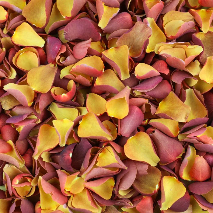Caramel Gold Rose Petals