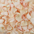 Palest Pink Rose Petals