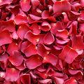 Red Rose Petals
