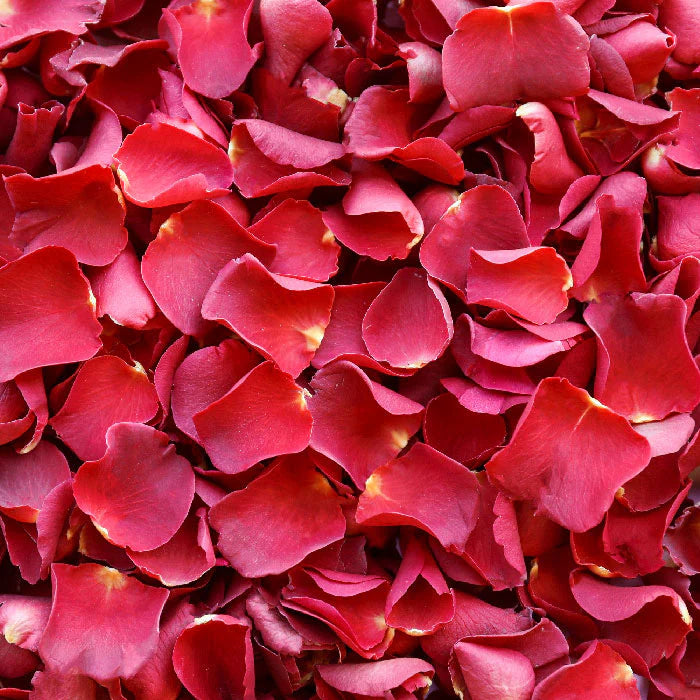 Red Rose Petals