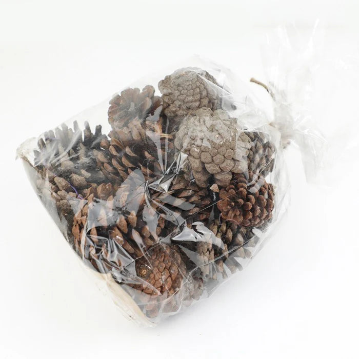Pine Cones